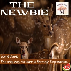 The Newbie - Slice Of Life Stories 🎧