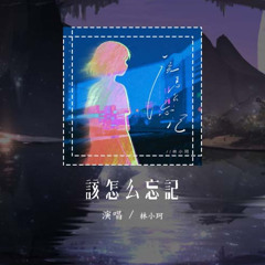 林小珂 - 该怎么忘记「该怎么忘记 你曾承诺 过的旧誓」【動態歌詞/Lyrics Video】#林小珂 #该怎么忘记 #動態歌詞