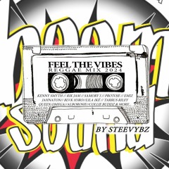 Feel the vybz - Boomsound reggae mix 2024 by Steevybz