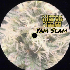 Micron Melts - Yam Slam