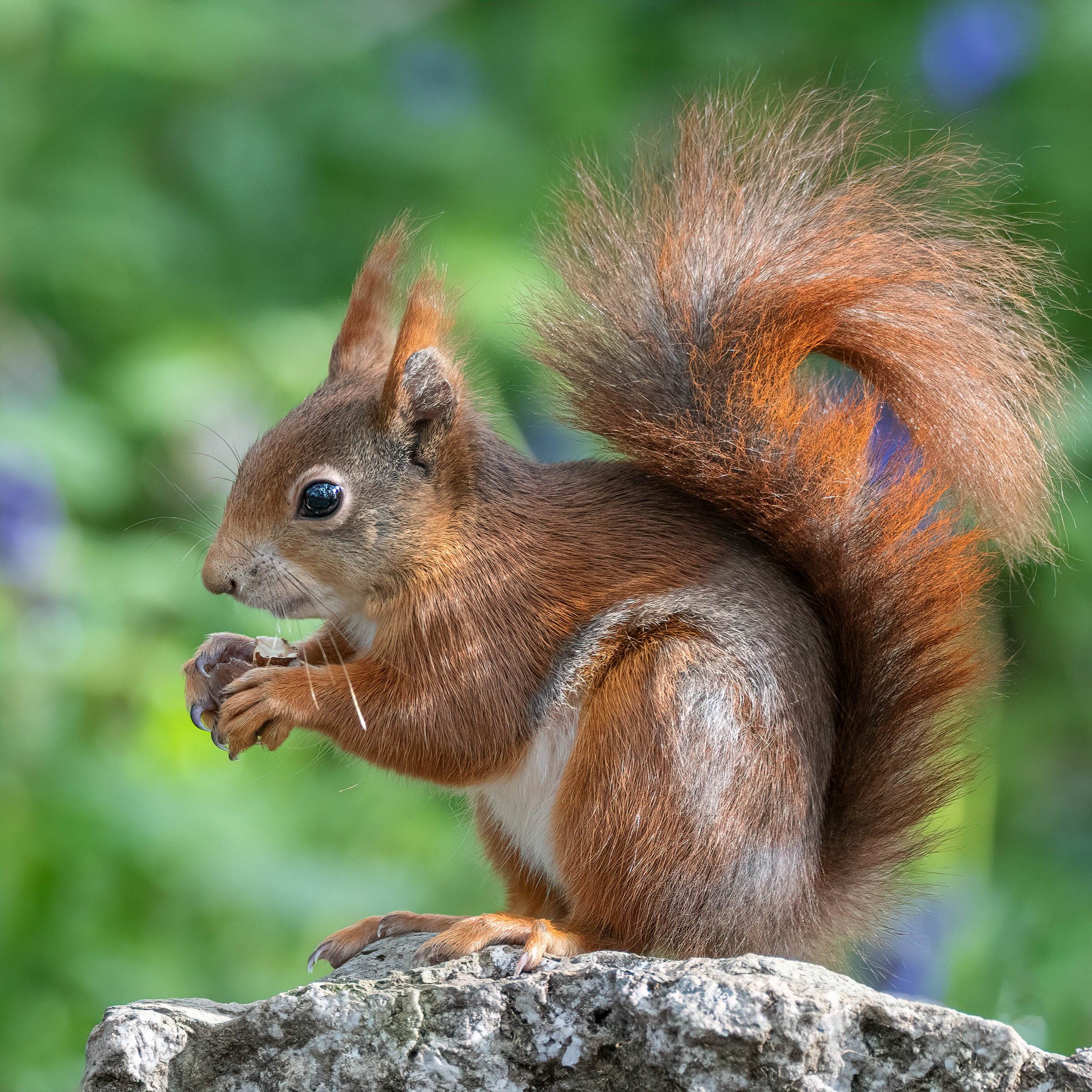 Local News Headlines Monday 17 April 2023