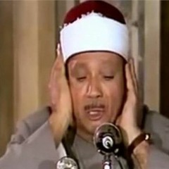 عبد الباسط عبد الصمد - الأحـــزاب