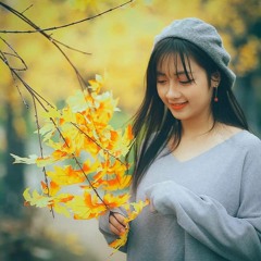 Bảo Anh - Sống Xa Anh Chẳng Dễ Dàng - Gin Remix