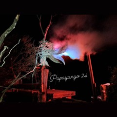 Tekay - After the Storm 🌩️ ~ into the night @ Papayango Festival 24 🍋