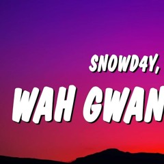 Snowd4y & Drake Ft Jack MacRath - Wah Gwan Delilah (Remix)