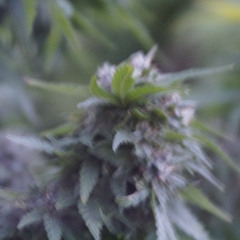 04 Tell 'em!!!  R.I.P. Dj