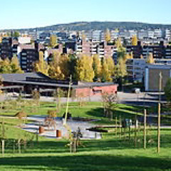 Fuck romsås