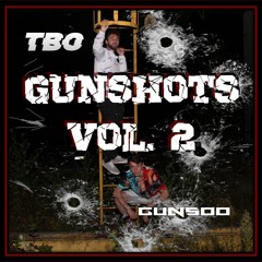 GUNSHOTS VOL 2 (ft. TBO) (BDAY MIX)