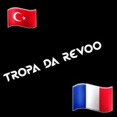 BOTA A PLACA PRA RASPAR NO CHÃO🏌️