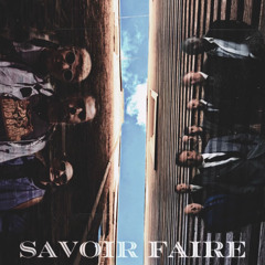 Mashup #5 - Savoir Faire (Beastie Boys x Speedometer)