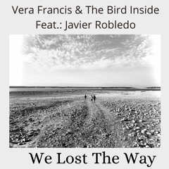 WE LOST THE WAY - (Lyrics and video in the description)
