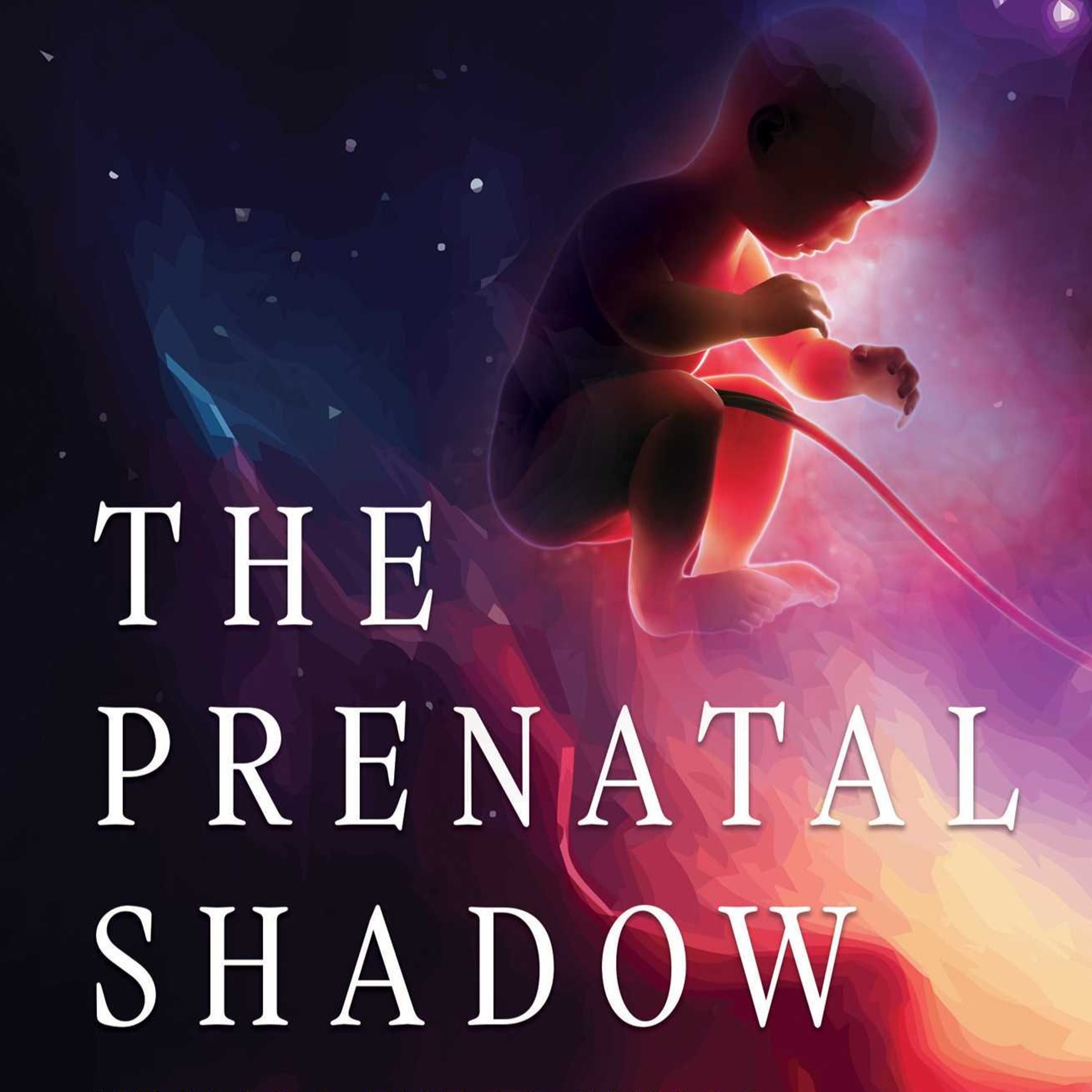 TMMT May 9 2025 Prenatal Shadow: Healing Trauma Experienced Before & at Birth w Cherionna Menzam-Sills episode artwork