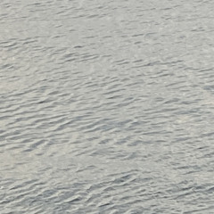 drown