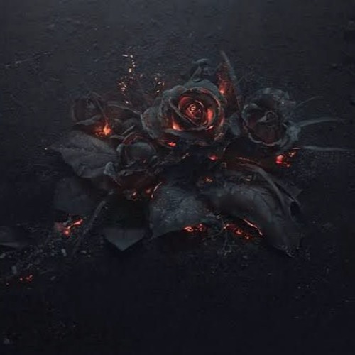 ASHES #Req BRADLEYWU