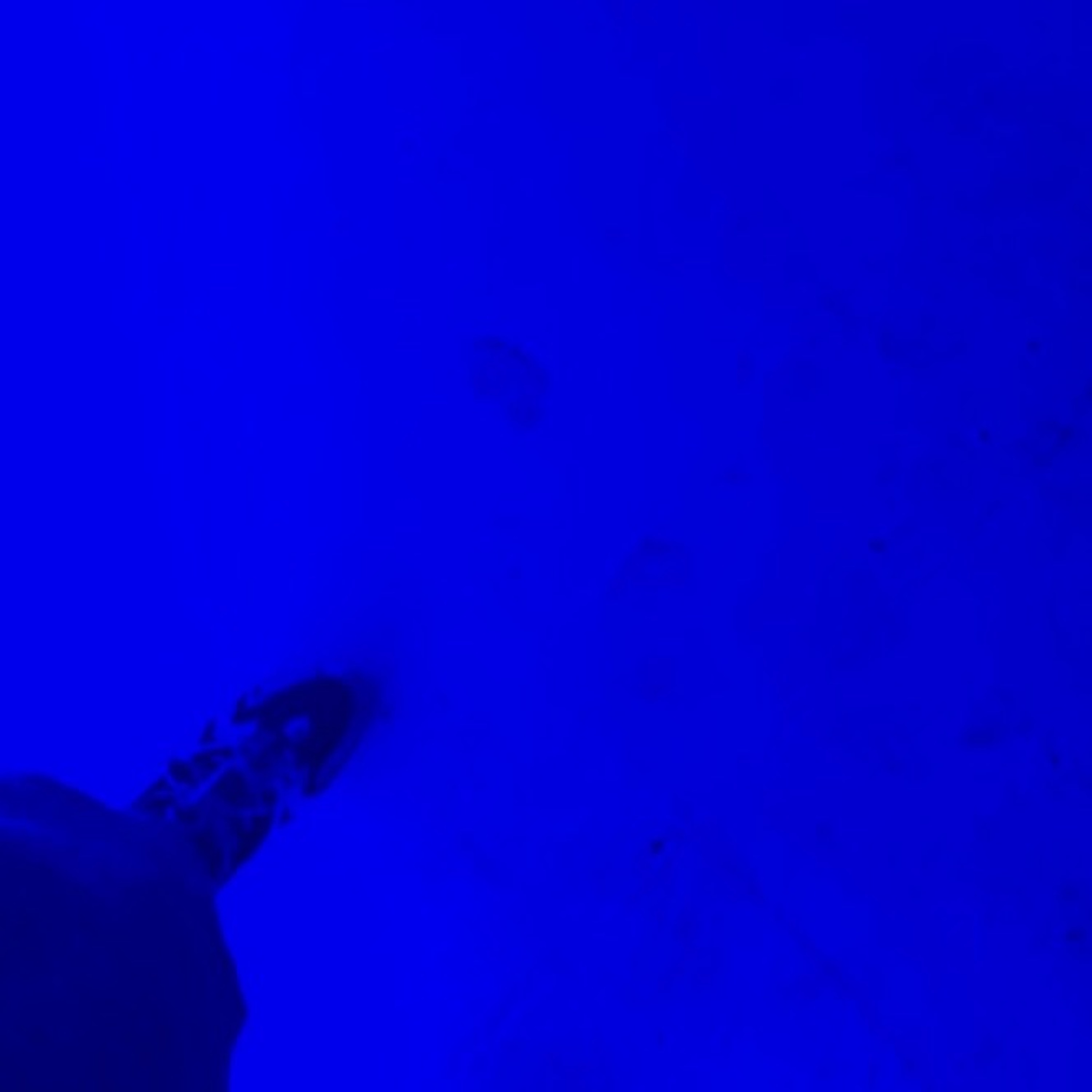 Deep Sea