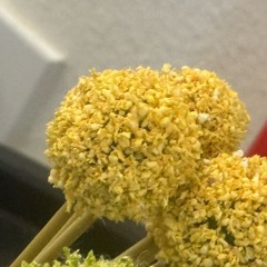 mAyEkEyE - Overwhelmed