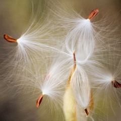 Oh Wind (Sung by Heidi Wilson)