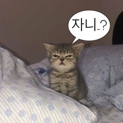 자니 Raplane Remix ver