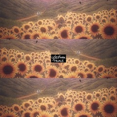 See You Again (Intro Only) Sampled