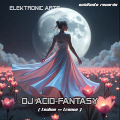 DJ Acid-Fantasy - techno sound lost and found