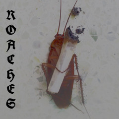 ROACHES  prod GEAM