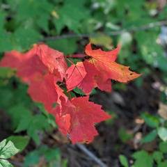 DJ Phil Lefebvre - On the Soul Tip, Episode 117 (2025-11-29)