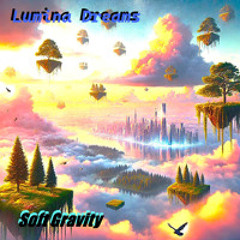 Soft Gravity