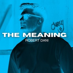 Robert Dani - The Meaning (Radio Mix)