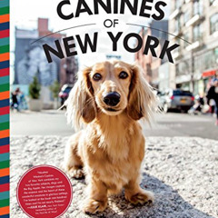 [FREE] EBOOK 💞 Canines of New York by  Heather Weston [PDF EBOOK EPUB KINDLE]