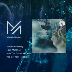 PREMIERE: Voices Of Valley, Nick Matthew - Into The Consiousness [Us & Them Records]