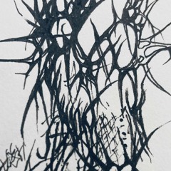 Purpose ii (Exo/Kan3)
