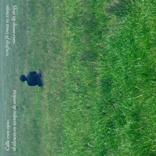 shut up those eyes - calle esos ojos - no.3 (Ricardo Arias)