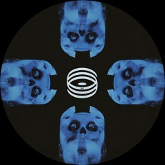 Shann X - Zeroth Law EP ( snippets )