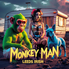 Track. 33 - Monkey MAN - Stones