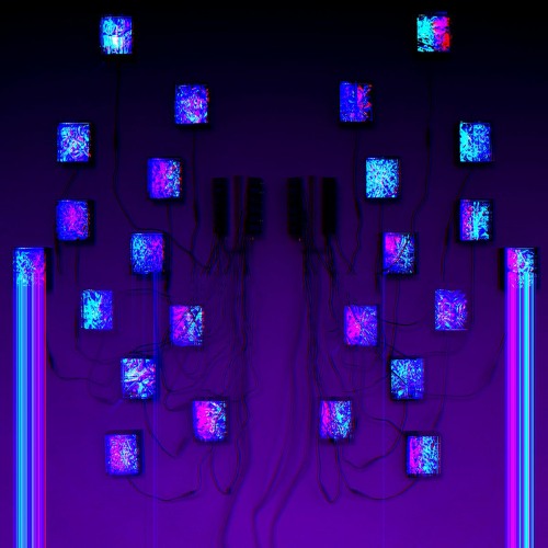 Chains