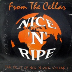 F O U R T H-From The Cellar-The Best Of Nice n Ripe Volume 1 - The Story So Far... (Continuous Mix)