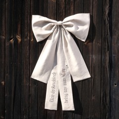 ELON DU ARSCHLOCH (BRING UNS ZUM MARS)