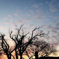 V. 'Til autumn winds blew them away.