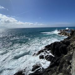 Playing Cardzz w Sinai