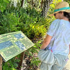 Review Special Price St. Petersburg Jungle Prada Site History Tour