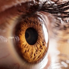 How Does Our Brain Perceive Color?