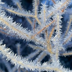 a frosty night at post bar / 8.12. Krash Bandicute