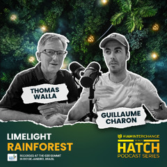 Limelight Rainforest