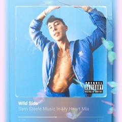 Normani Feat. Cardi B - Wild Side (Sam Steele Music In My Heart Mix)