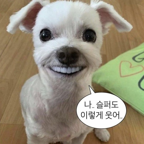 유현진 - 사실이라면.mp3(데이먼스 이어)
