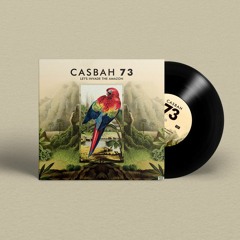 PREMIERE : Casbah 73 - Javari Takedown (Disco Mix)