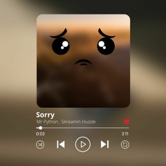Sorry(Feat . Skreamin Hussle)