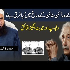 How is Albert Einstein's brain different - Maulana Tariq Jameel Latest Bayan 2018