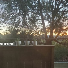 Surreal (ft. Savvy D_)