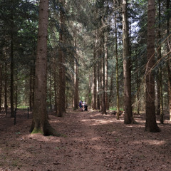 Registratie ‘TK’